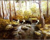 Australian Bush - 乔治·菲利普斯